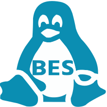 Besgnu Linux logo